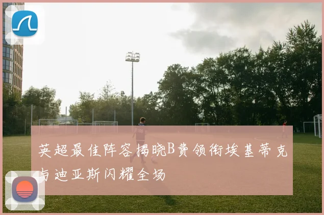 英超最佳阵容揭晓B费领衔埃基蒂克与迪亚斯闪耀全场