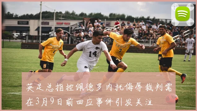 英足总指控佩德罗内托侮辱裁判需在3月9日前回应事件引发关注