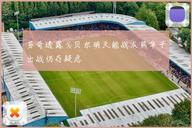 芬奇透露戈贝尔明天能战灰熊华子出战仍存疑虑